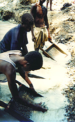 Sifting Boxes